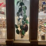 İnteryer və dekorasiya