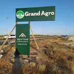 Totemlər və bilbordlar