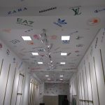 İnteryer və dekorasiya