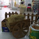 İnteryer və dekorasiya