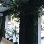 İnteryer və dekorasiya